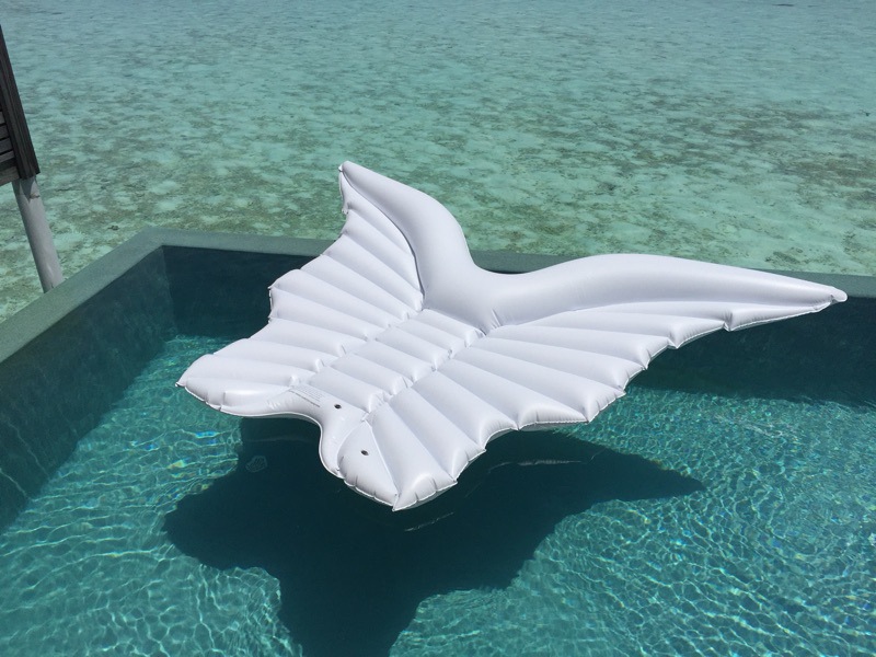 White Butterfly float